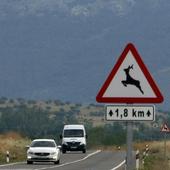 Los accidentes provocados por animales ocasionan más de un herido al mes