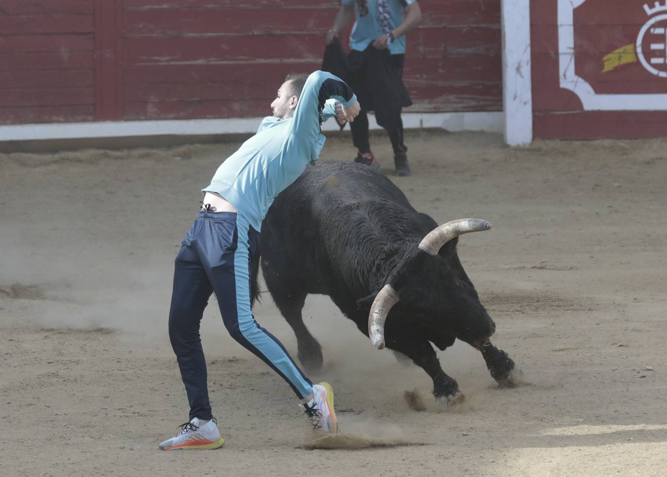Encierro en Pedrajas de San Esteban