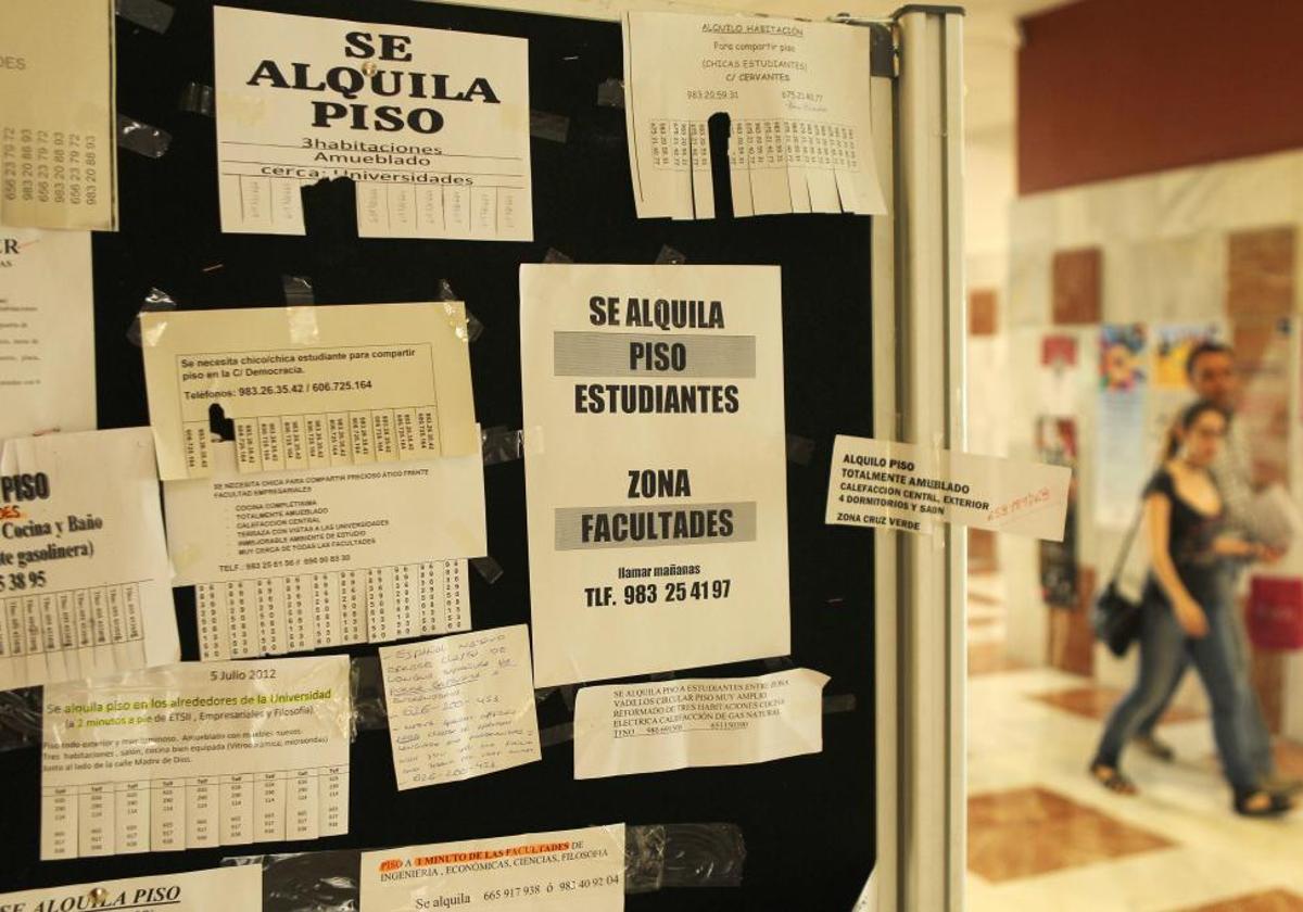 Carteles en los paneles de un centro de la UVA que anuncian pisos para alquilar o compartir.