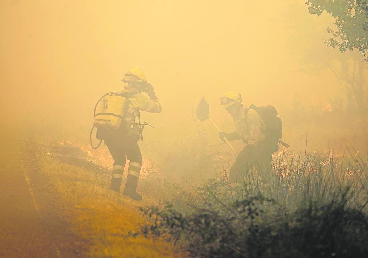 Dos brigadista bregan con el fuego en el incendio de Losacio (Zamora) el verano pasado