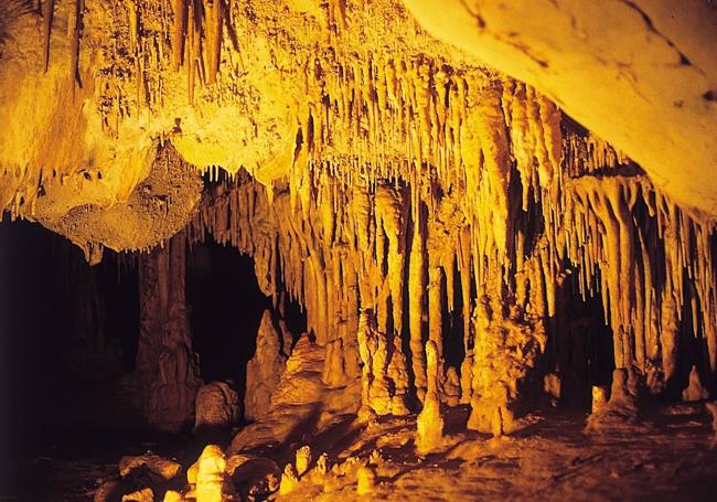 Interior de la cueva de Es Càrritx.