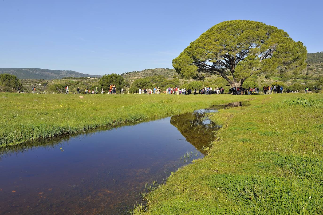 El Hoyo de Pinares: «Es momento de rehacernos y ser fuertes»