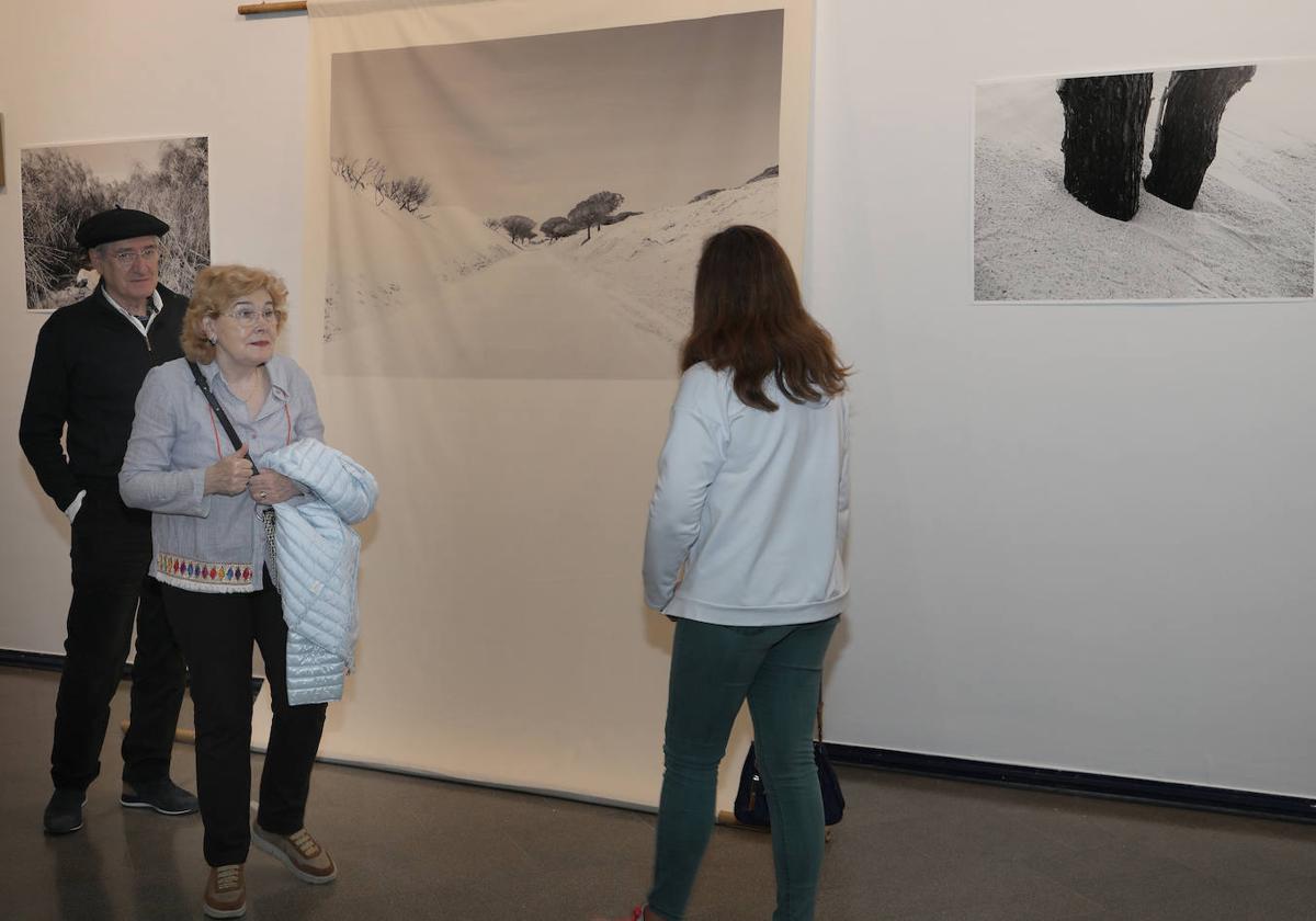 Visitantes en la exposición de María Primo, este jueves en la Fundación Díaz-Caneja.