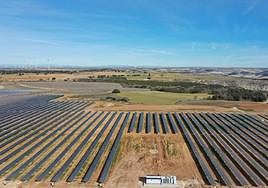 Paneles solares del proyecto de planta híbrida de Iberdrola en Burgos.