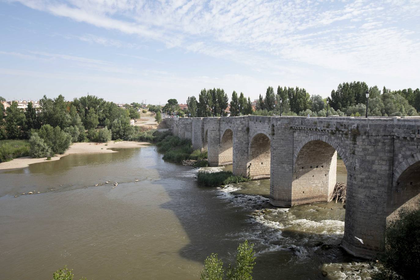 Rescatan a un pescador que se lesionó en el Pisuerga bajo el puente de Cabezón