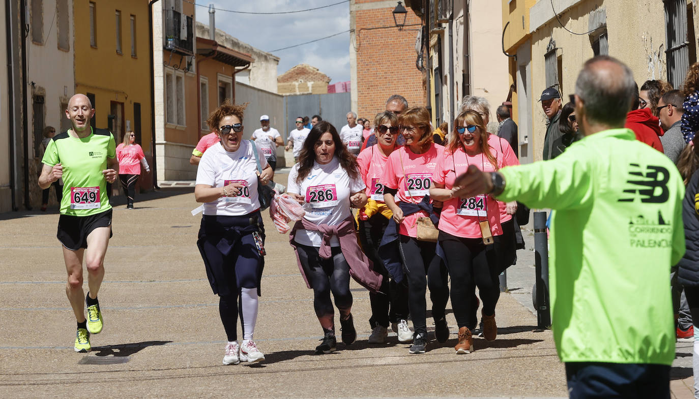 Más de 900 personas participan en la cita solidaria de Frómista