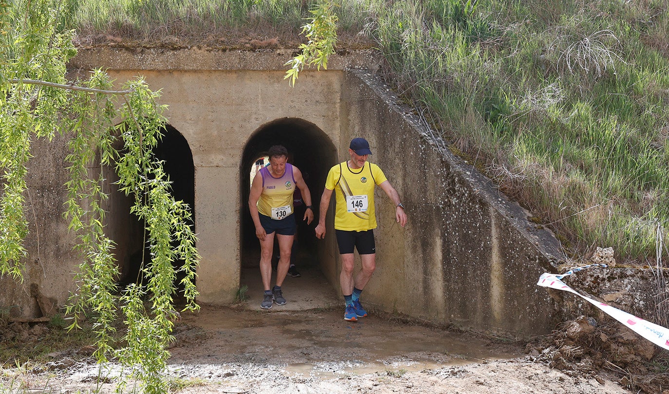 VIII Carrera Entre Castillos