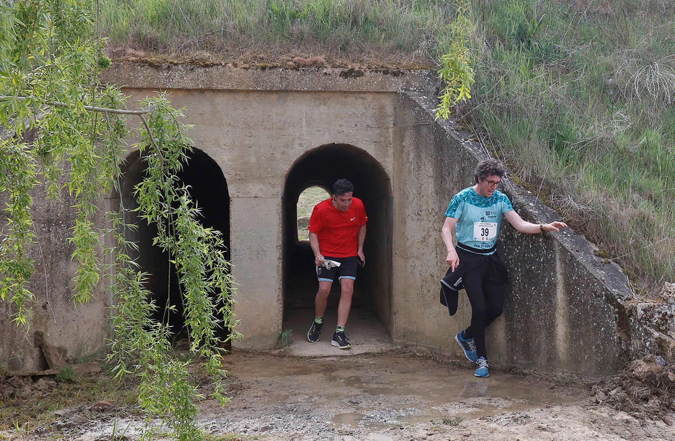 VIII Carrera Entre Castillos