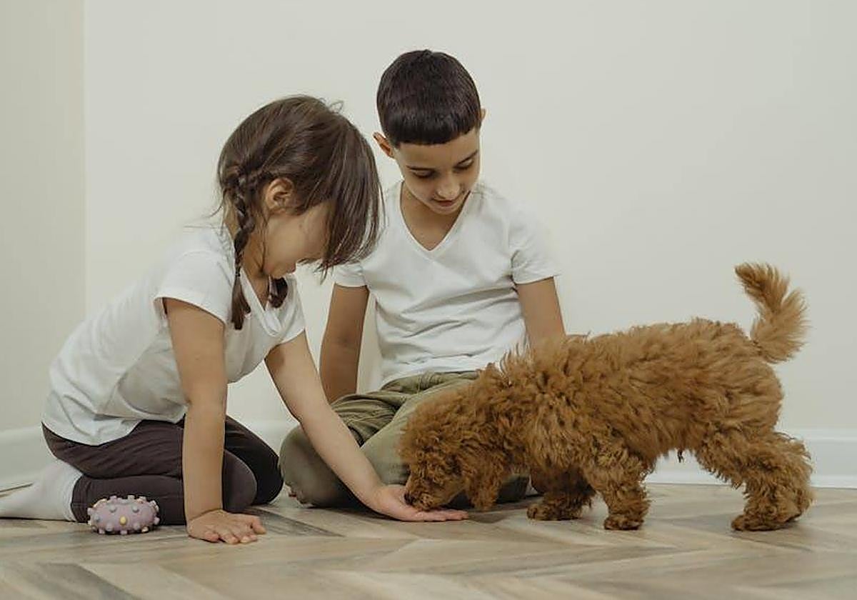 Varios estudios confirman numerosos beneficios para los niños que se crían con perros