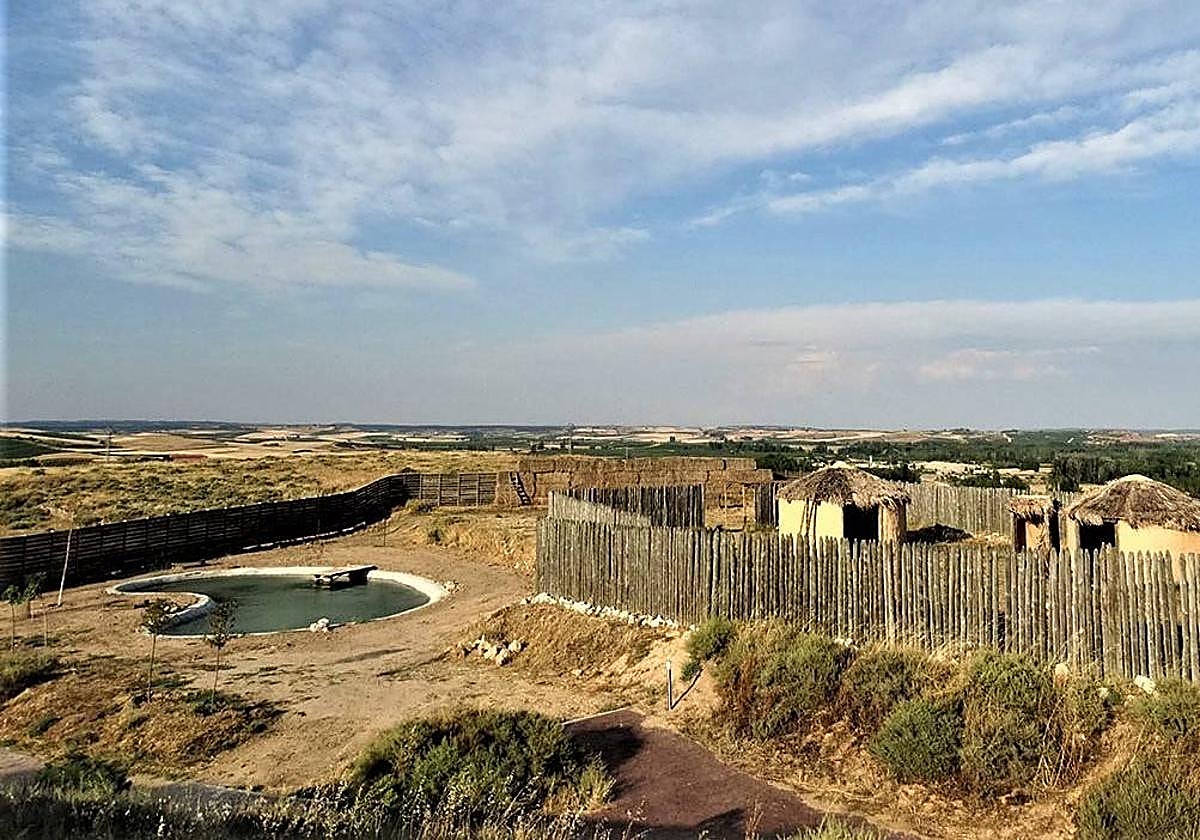 Roa de Duero: «Tenemos proyección de futuro, ganas e ilusión»