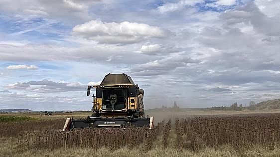 Publicada la orden de módulos con una rebaja mínima del 25% en el IRPF