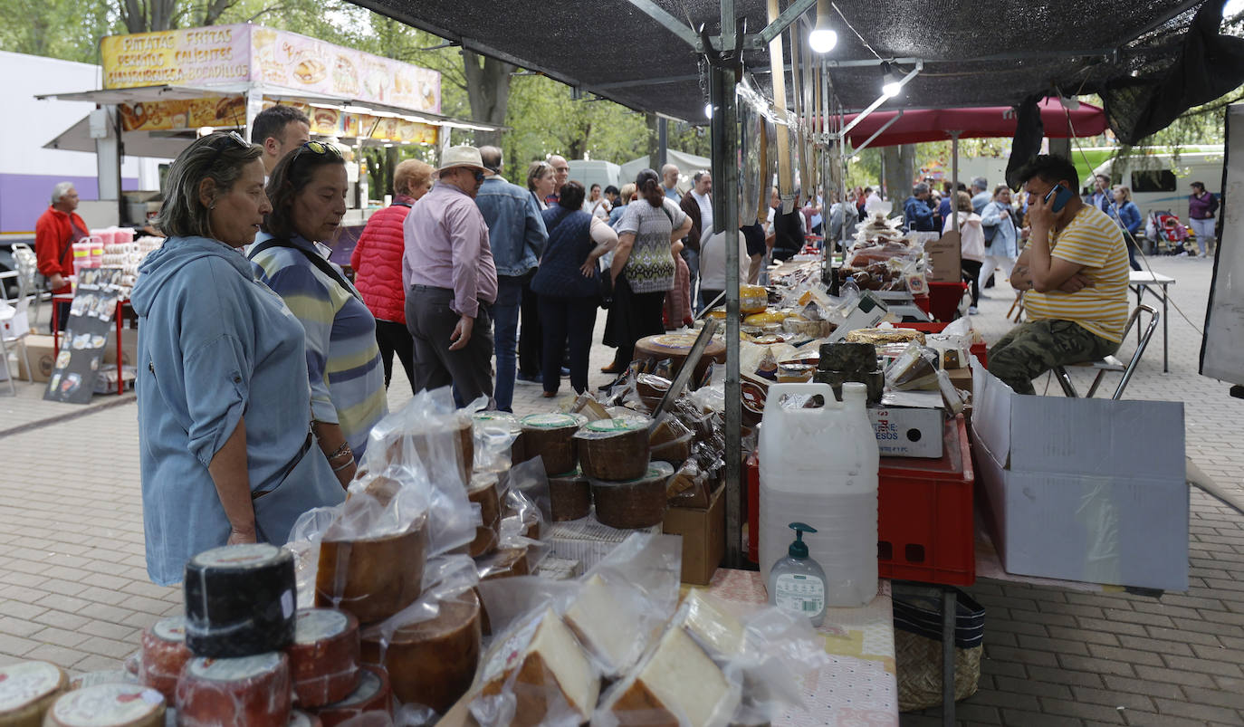 Cien kilos de caracoles en el Sotillo para festejar San Marcos