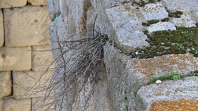 Imagen antes - El antes y el después de la limpieza del Acueducto