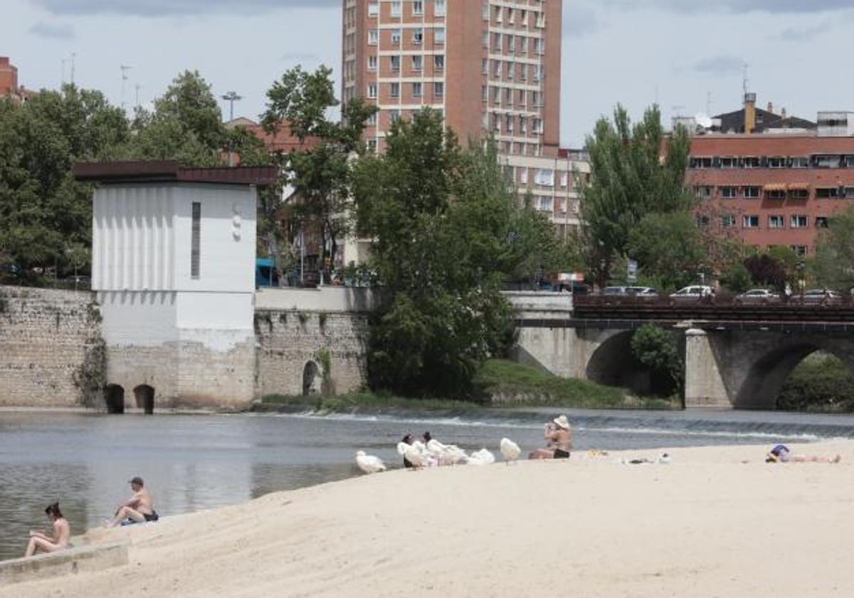 Vecinos tomando el sol en la playa de Las Moreras esta semana.