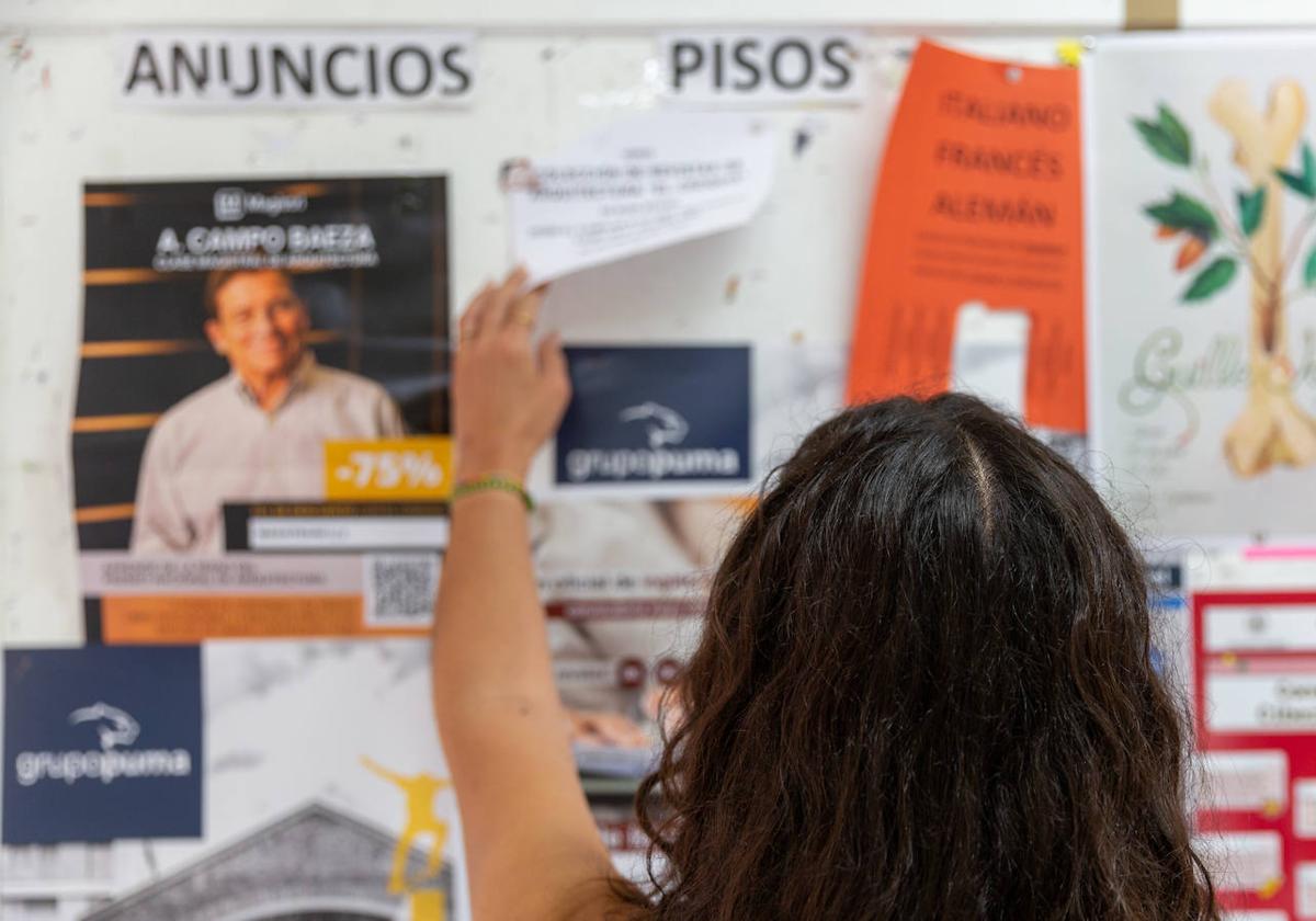 Una mujer mira anuncios de piso en el panel de la universidad, en Valladolid.