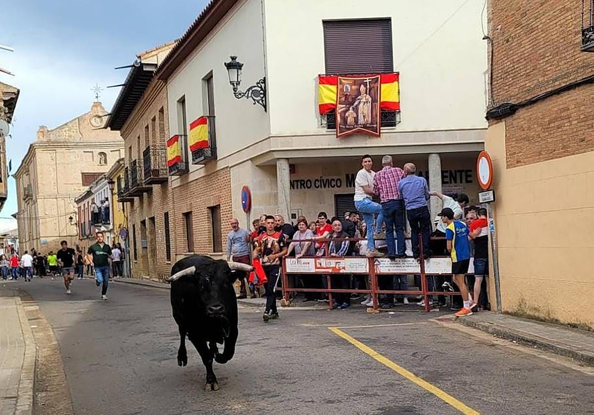 'Embajador' recorrió por la tarde las calles de Mayorga.