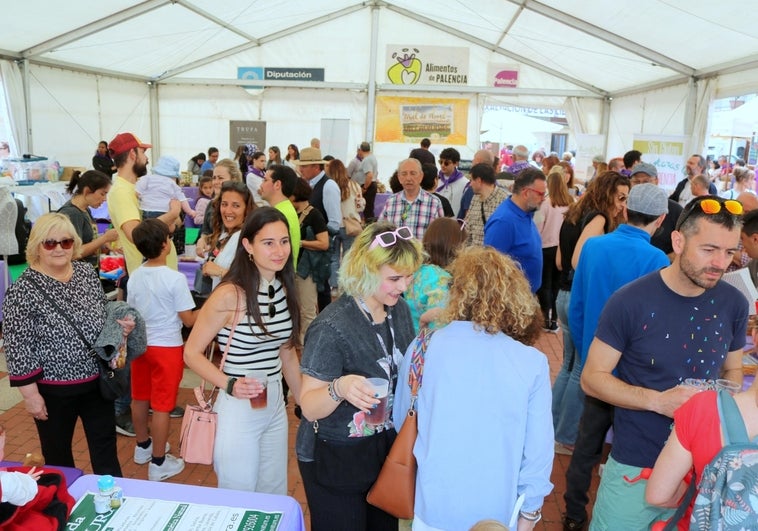 Villaviudas congrega a numeroso público en la III Edición de la Feria de las Lilas