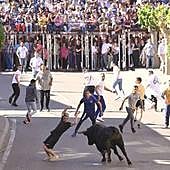 El Toro del Sarmiento llena las calles de La Seca