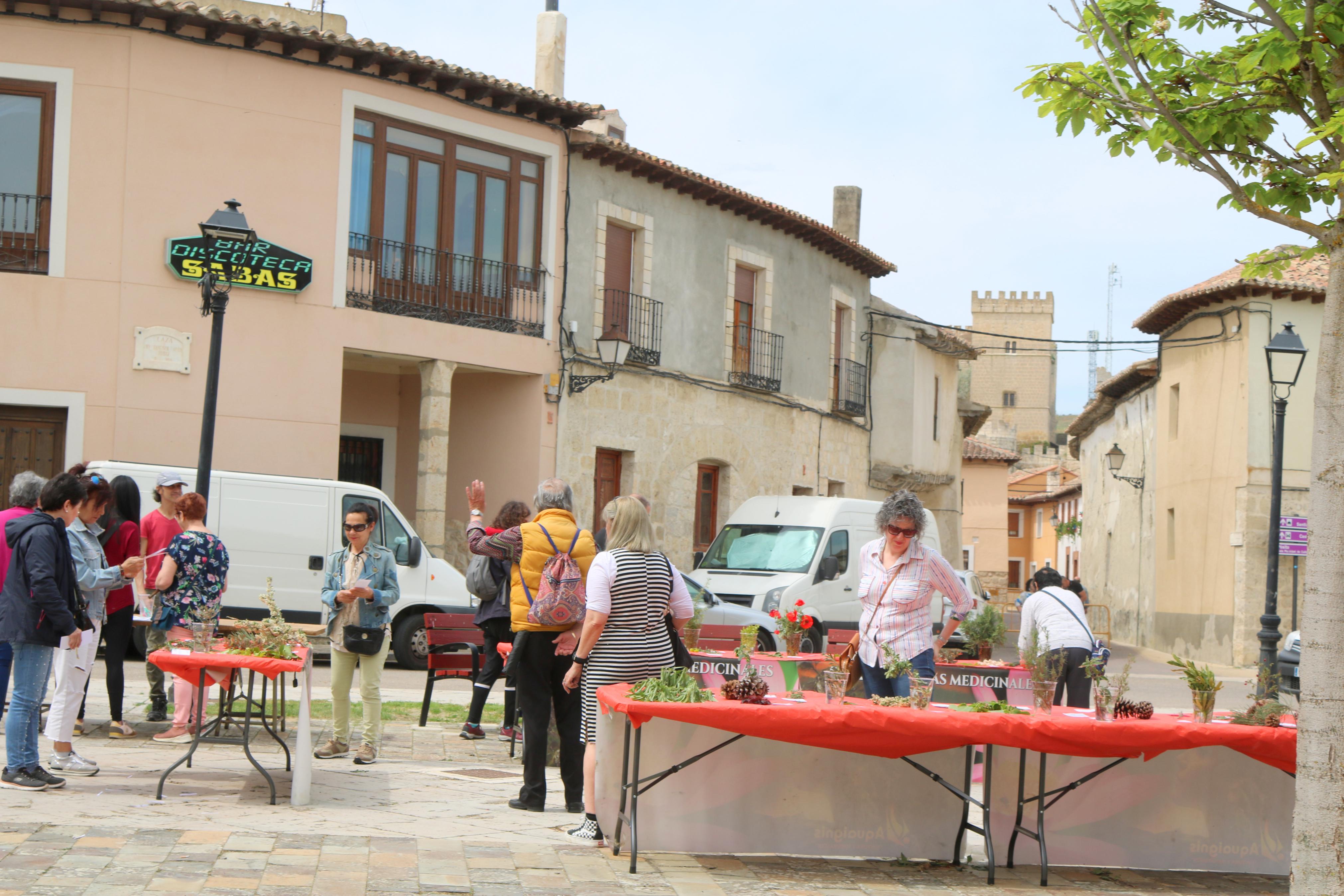 Ampudia celebra el XII Mercado Regional de la Flor