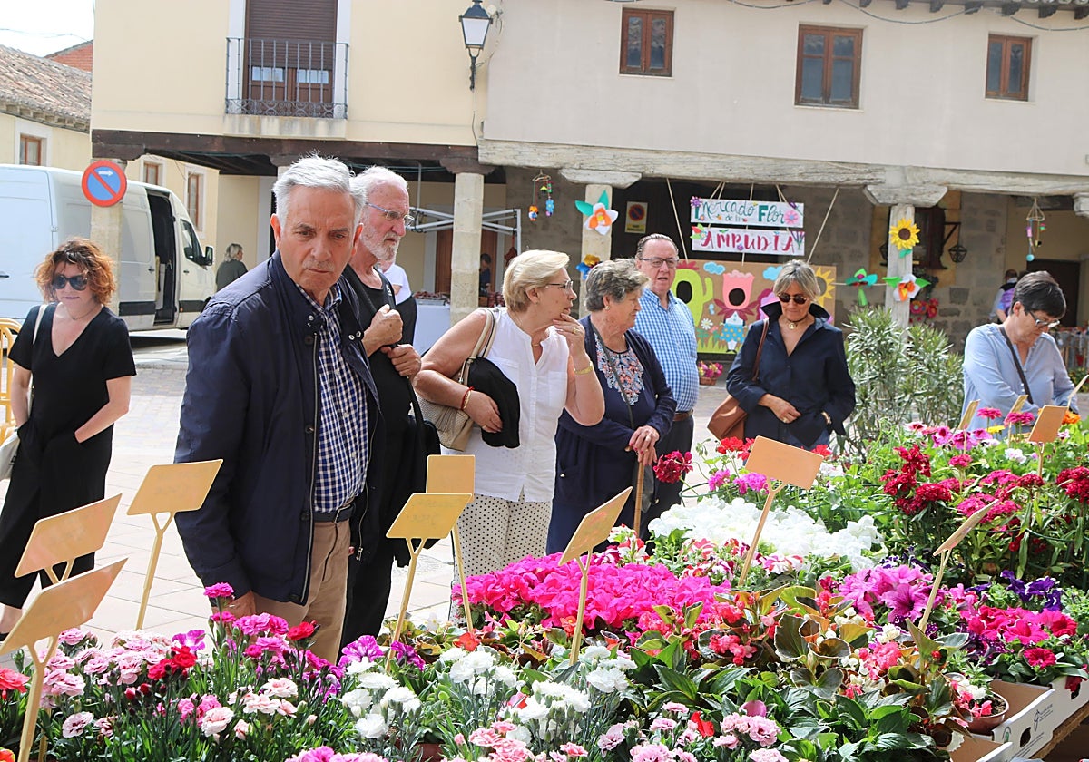 Ampudia celebra el XII Mercado Regional de la Flor