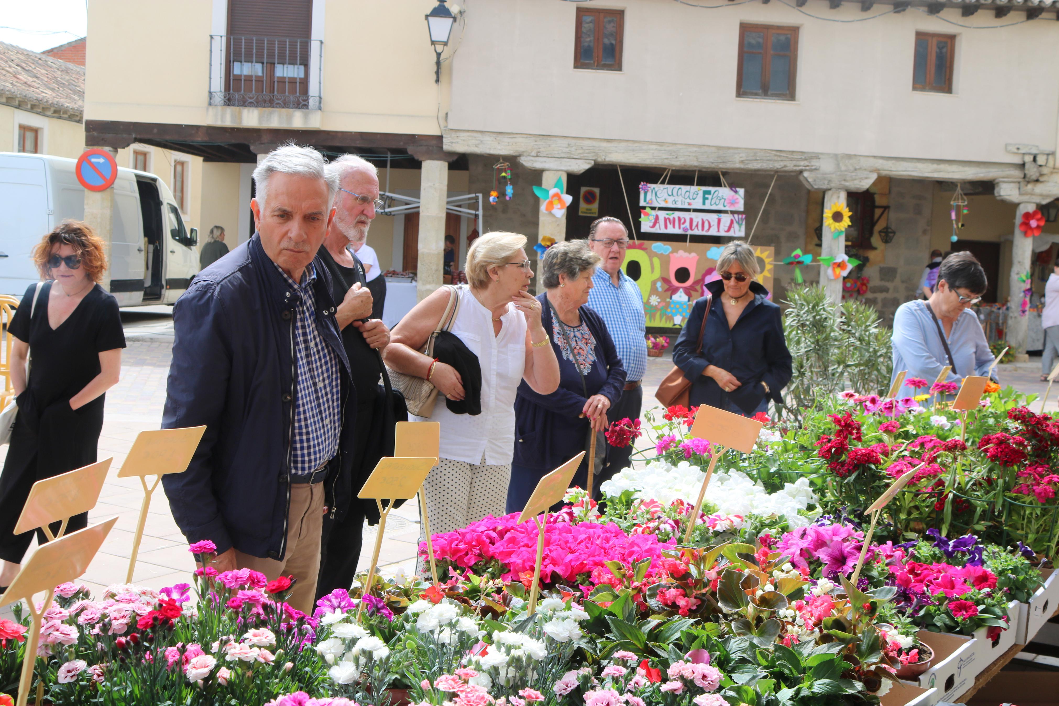 Ampudia celebra el XII Mercado Regional de la Flor