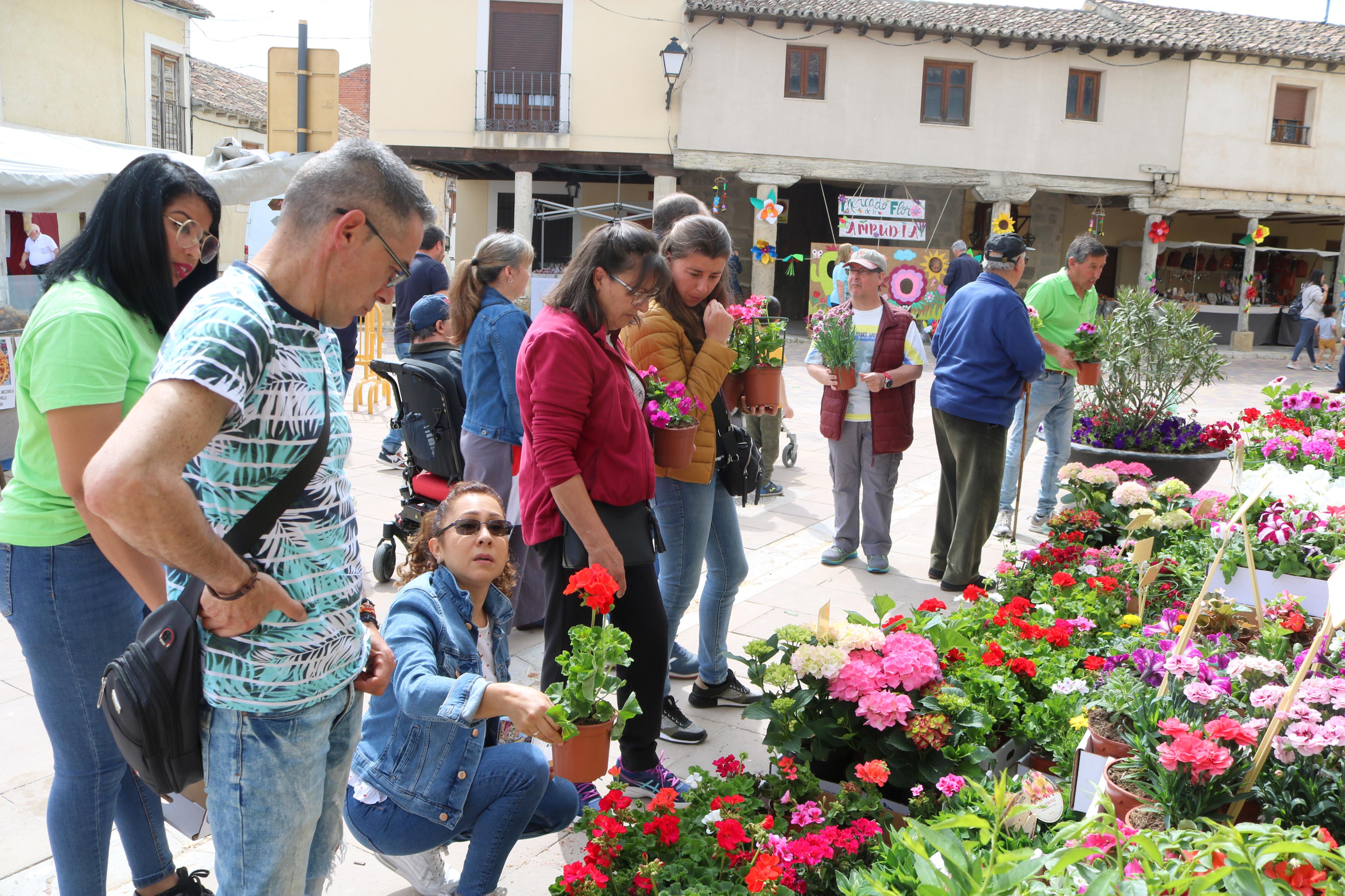 Ampudia celebra el XII Mercado Regional de la Flor