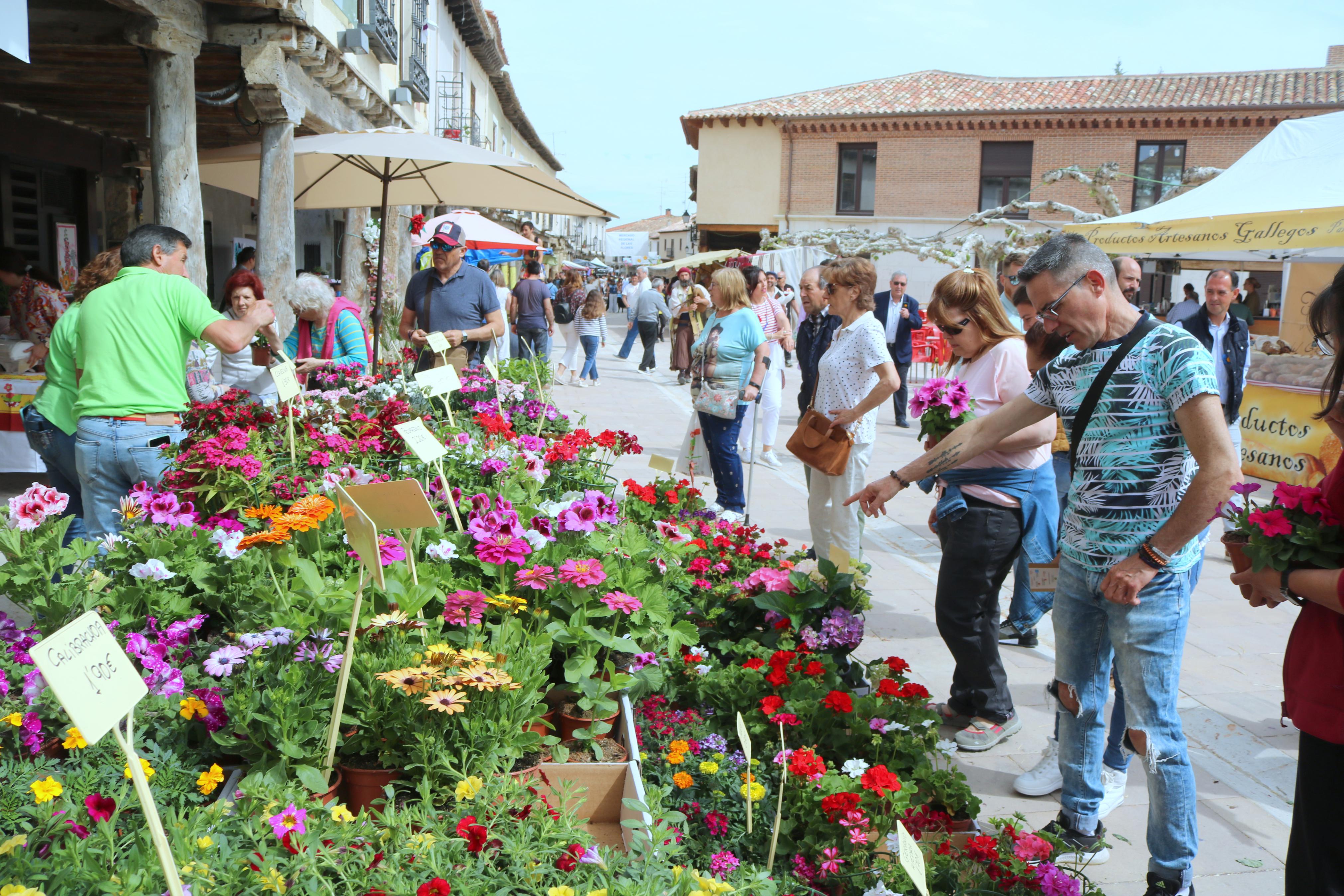 Ampudia celebra el XII Mercado Regional de la Flor