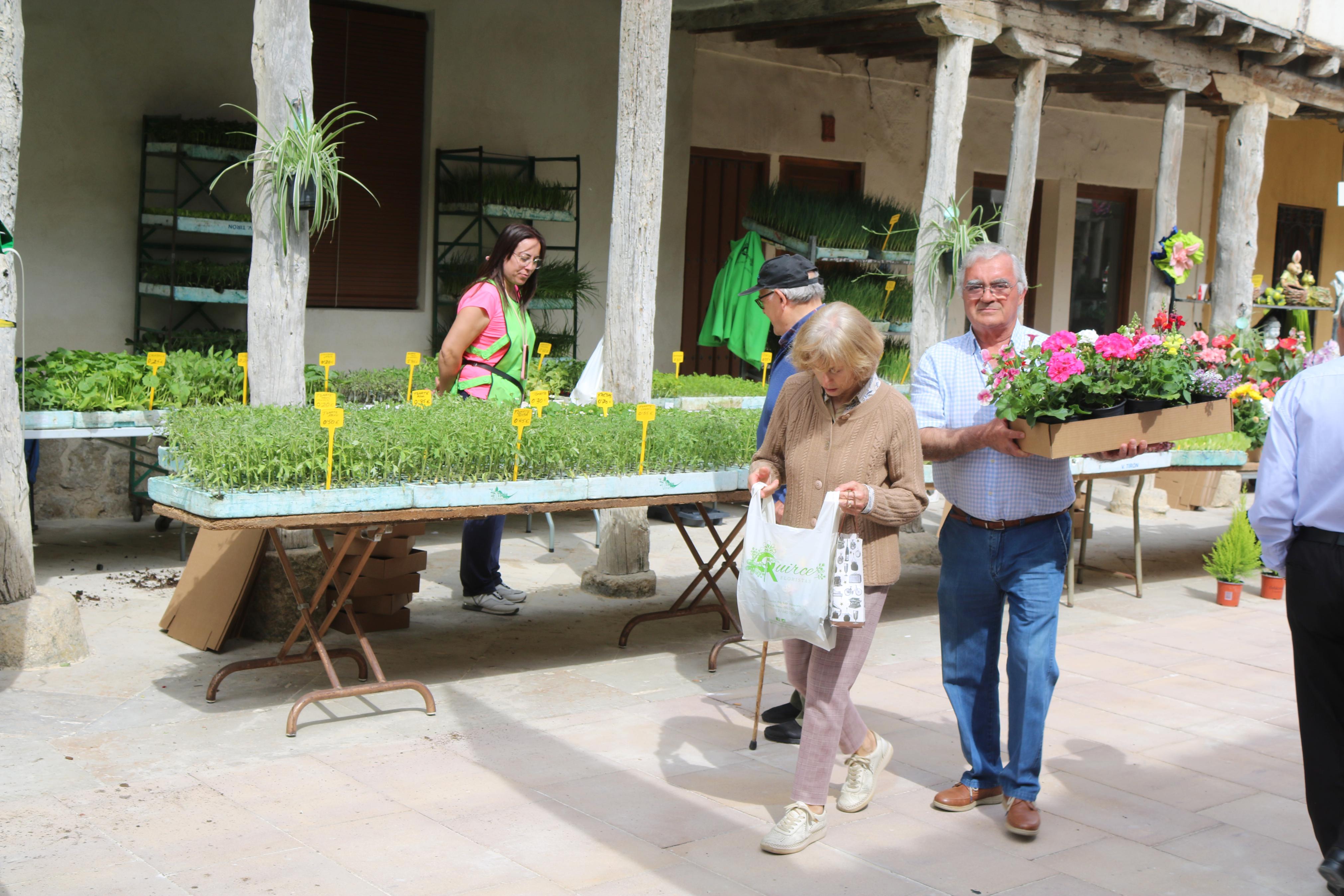 Ampudia celebra el XII Mercado Regional de la Flor