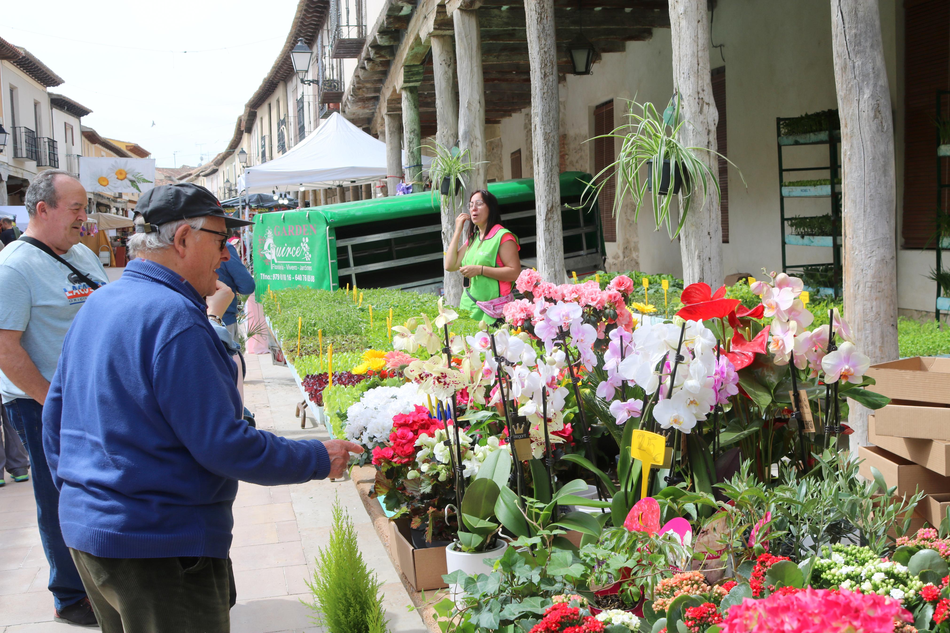 Ampudia celebra el XII Mercado Regional de la Flor