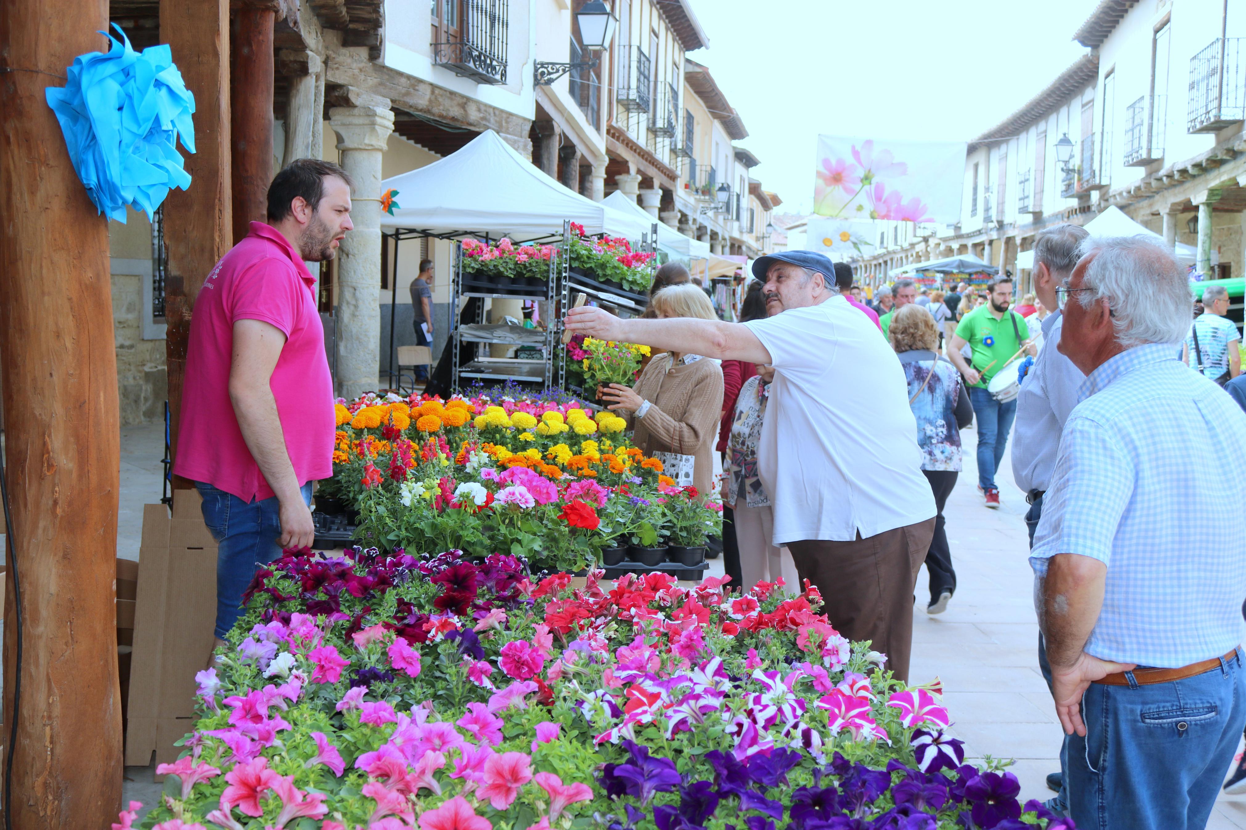Ampudia celebra el XII Mercado Regional de la Flor