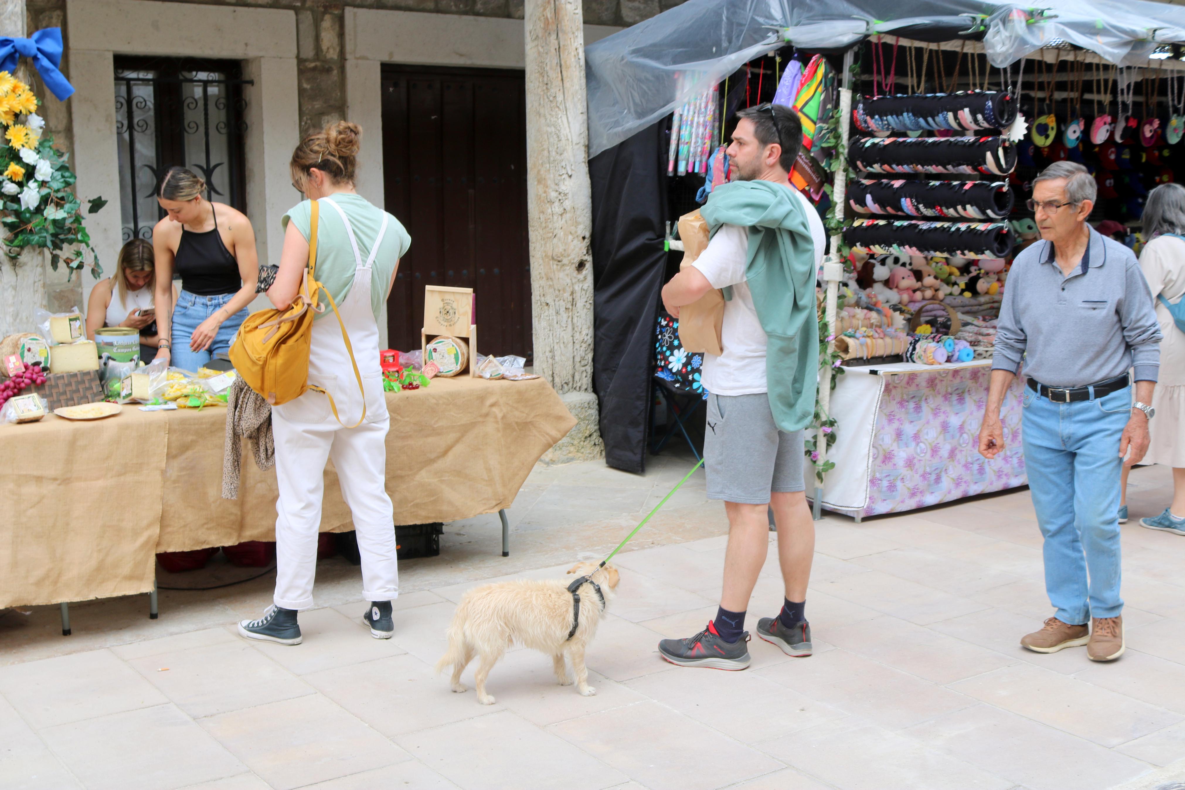 Ampudia celebra el XII Mercado Regional de la Flor