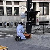 Se incrementan las salidas de los Bomberos para retirar enjambres