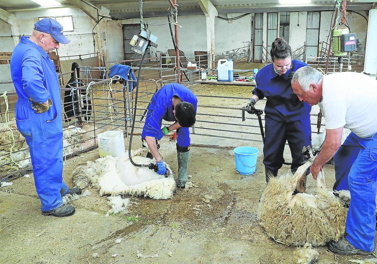 Formación en un oficio casi desaparecido en Palencia