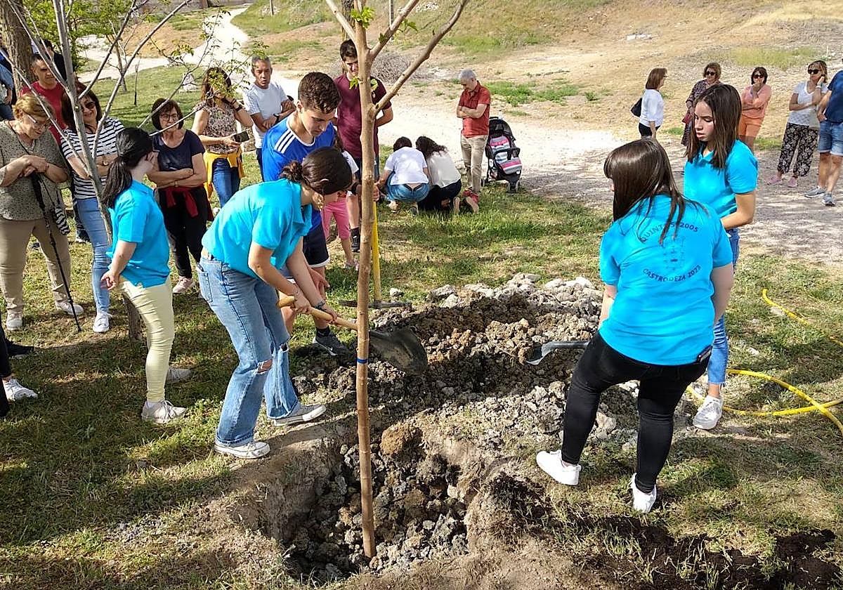 Las quintas de este año plantaron un arbol en el que se llamará 'Paseo de los Quintos'