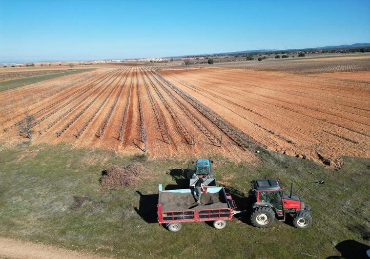 El paro agrario baja en 212 personas en la región en abril