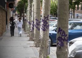 Dos mujeres pasean junto a los árboles afectados por las pintadas en la calle de Santo Tomás.