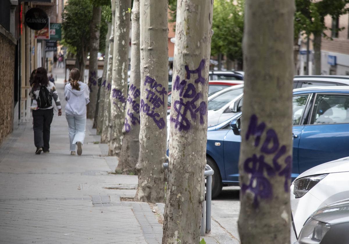 Dos mujeres pasean junto a los árboles afectados por las pintadas en la calle de Santo Tomás.