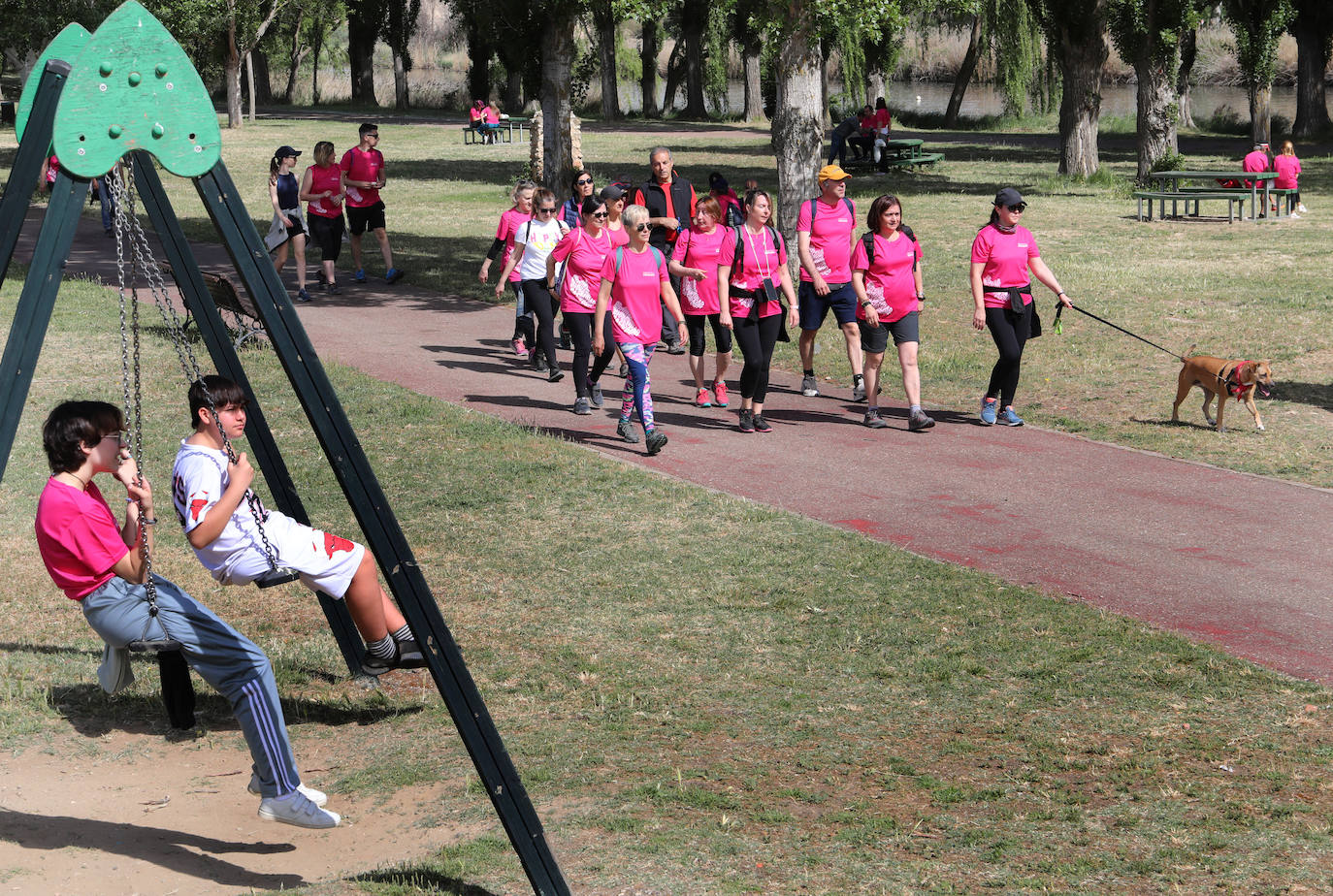 Más de mil palentinos se unen a la marcha de Aspanis