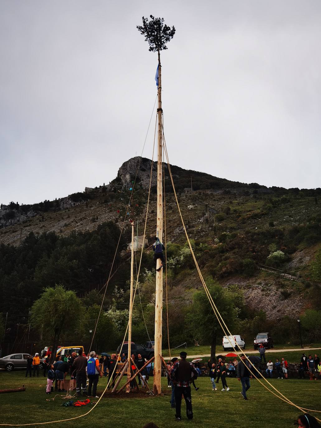 Velilla celebra la Pinada del Mayo