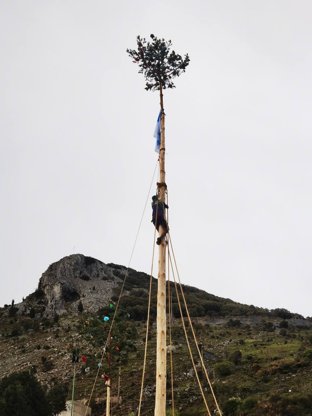 Velilla celebra la Pinada del Mayo
