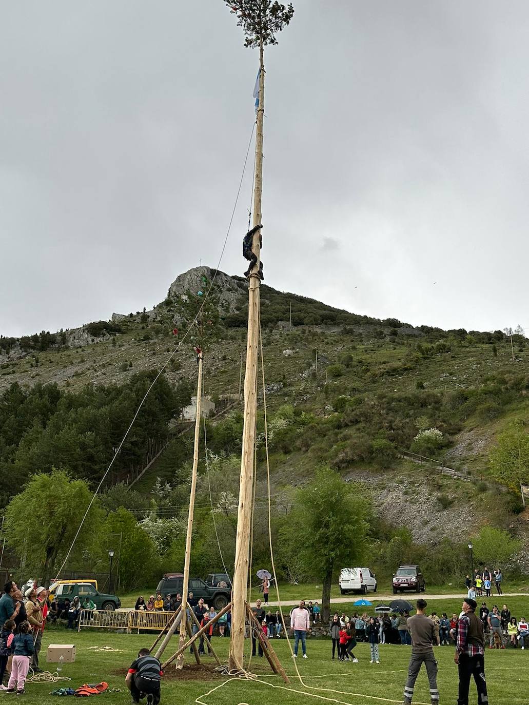 Velilla celebra la Pinada del Mayo