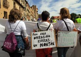 Participantes en la manifestación de este sábado en Segovia en defensa de la sanidad pública