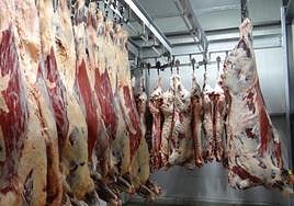 Canales en un matadero de Castilla y León.