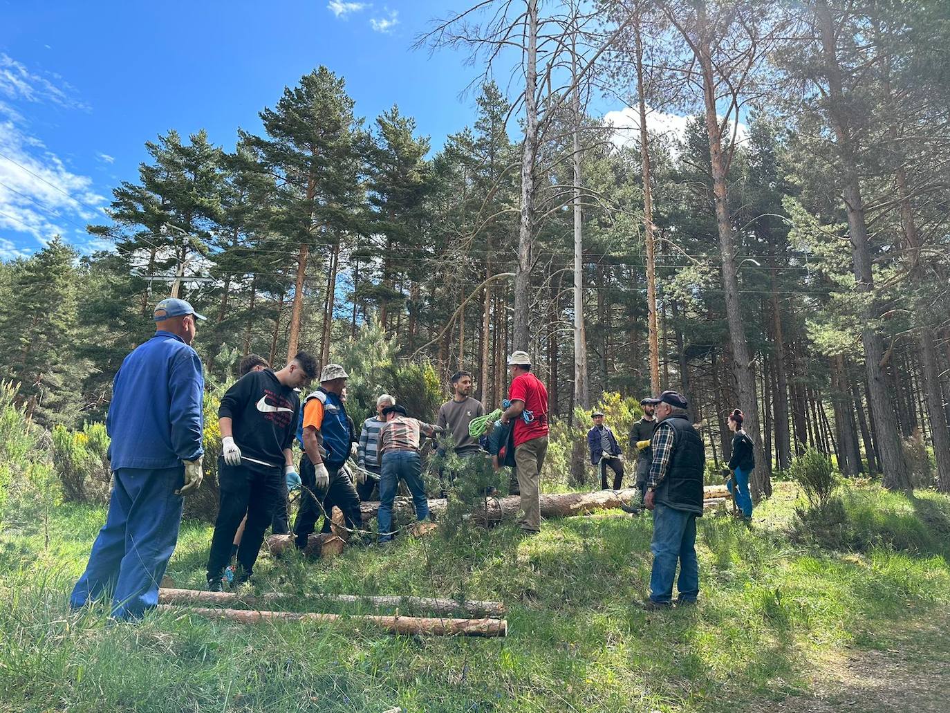 Velilla celebra la Pinada del Mayo