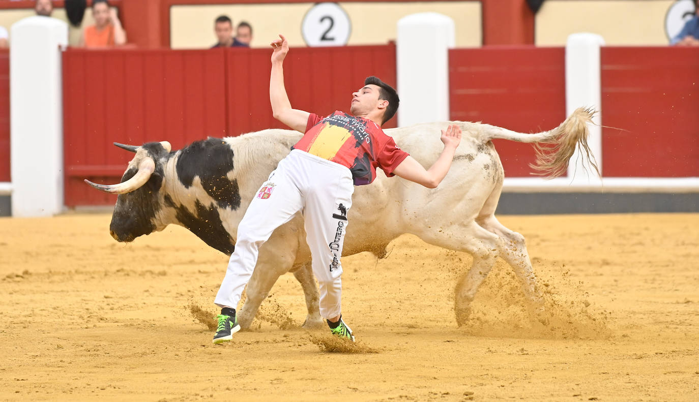 La mejores fotos del Concurso cortes quiebros y saltos de Valladolid (I)