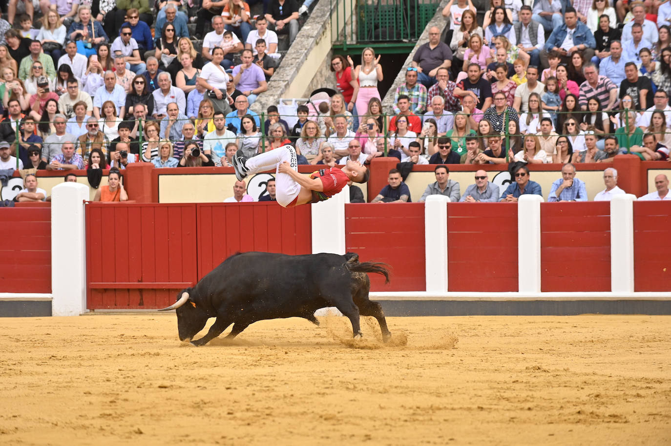 La mejores fotos del Concurso cortes quiebros y saltos de Valladolid (I)