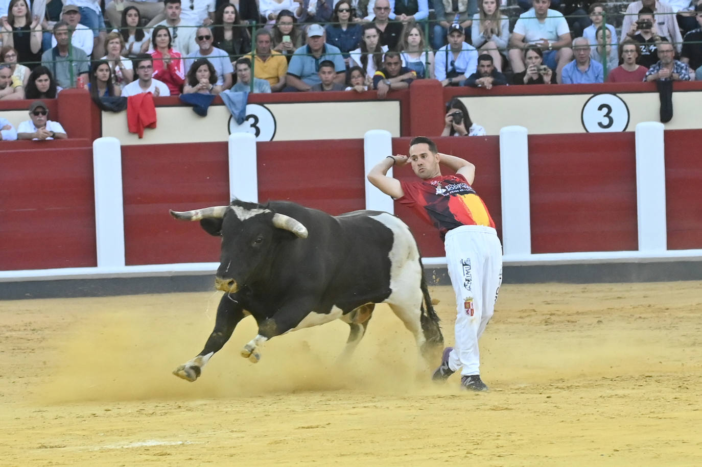 La mejores fotografías del Concurso cortes quiebros y saltos de Valladolid (II)