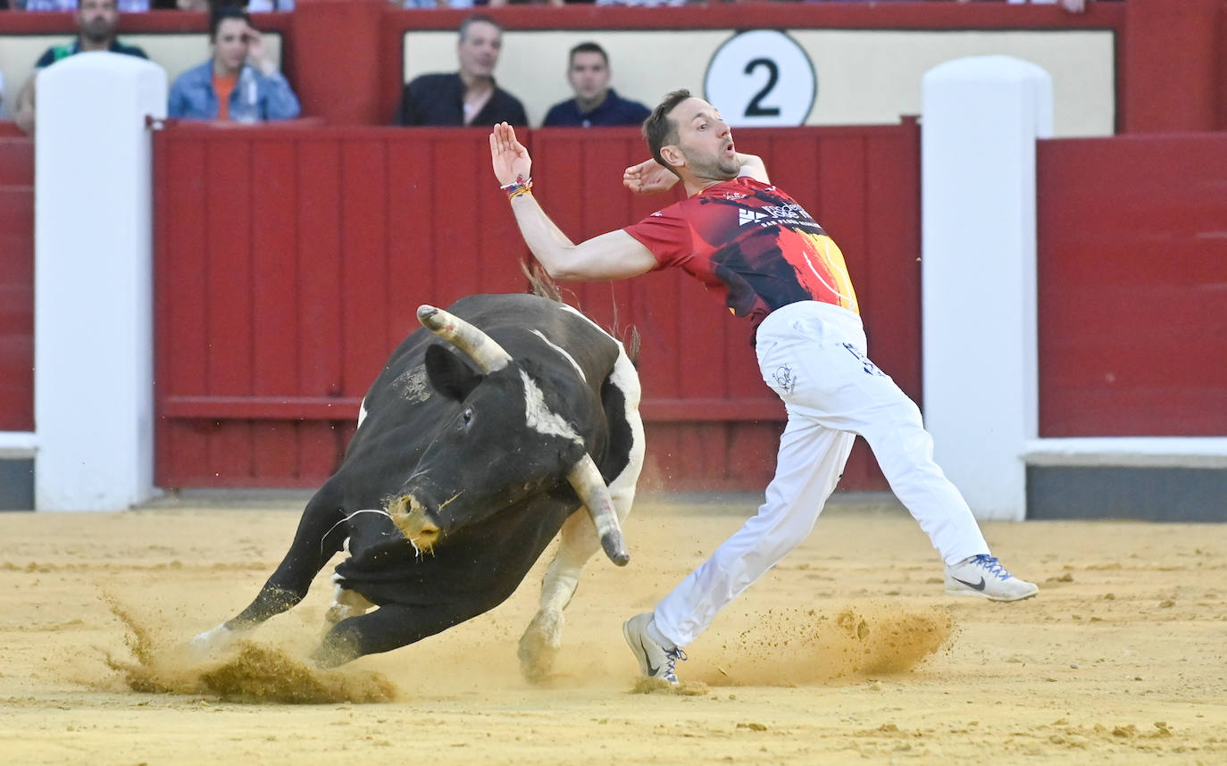 La mejores fotos del Concurso cortes quiebros y saltos de Valladolid (I)