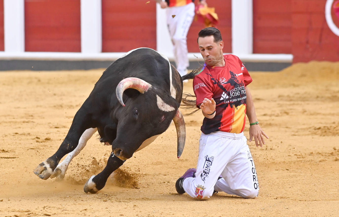 La mejores fotos del Concurso cortes quiebros y saltos de Valladolid (I)