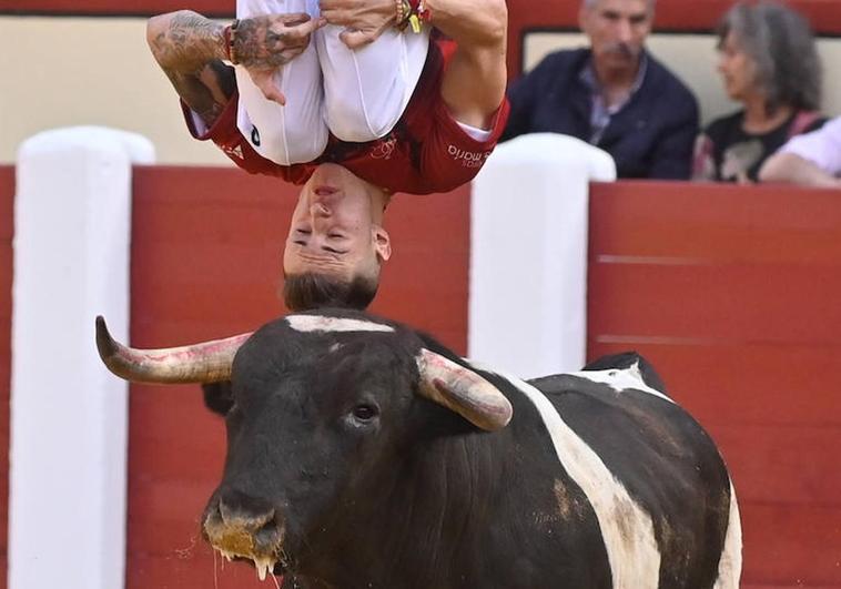 La mejores fotografías del Concurso cortes quiebros y saltos de Valladolid (II)